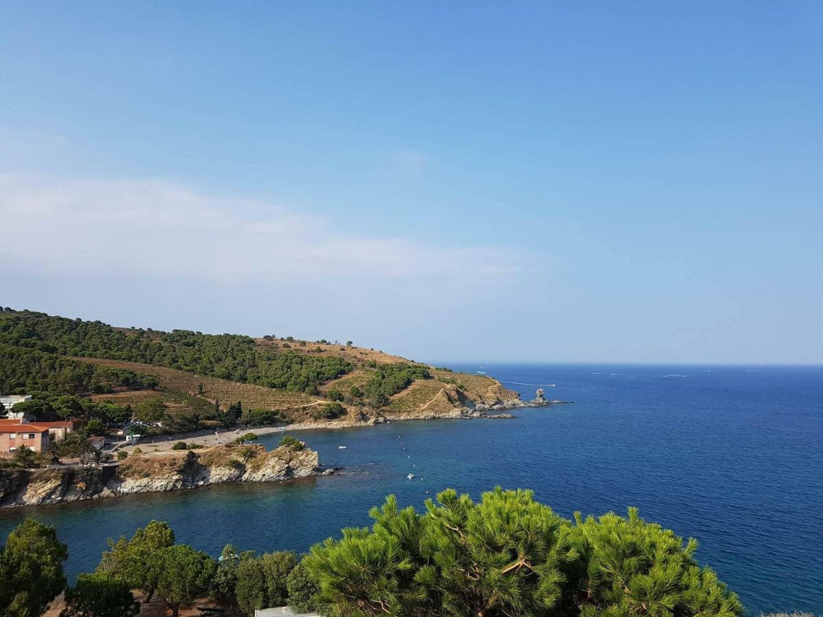 Profitez De La Vue ! Lejlighed Banyuls-sur-Mer Eksteriør billede